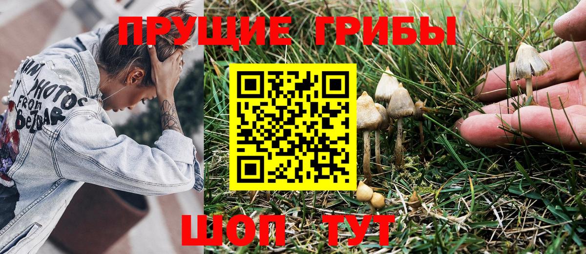 Галлюциногенные грибы MAGIC MUSHROOMS Ивантеевка