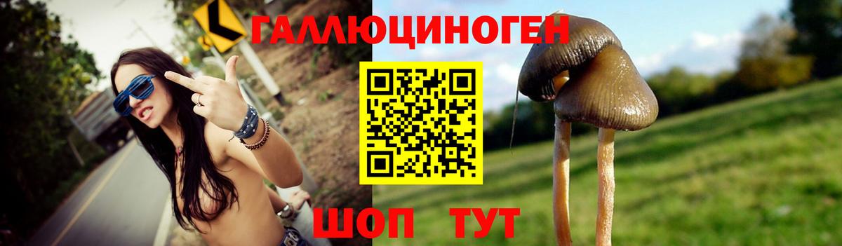 Ивантеевка  Галлюциногенные грибы ЛСД  Вход с VPN 
